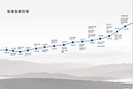 企业发展历程简介