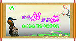计划生育