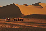 沙漠 丝绸之路