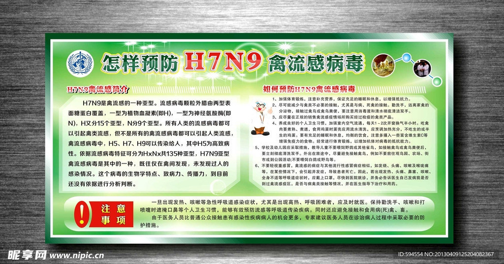 H7N9禽流感病宣传