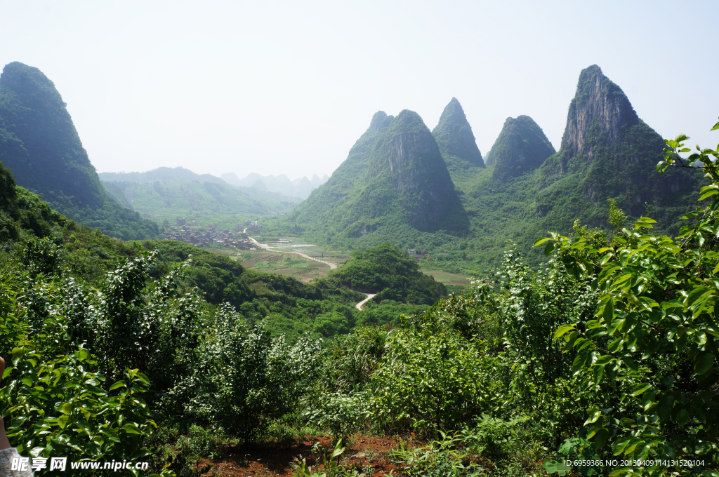 桂林平乐湖塘风景