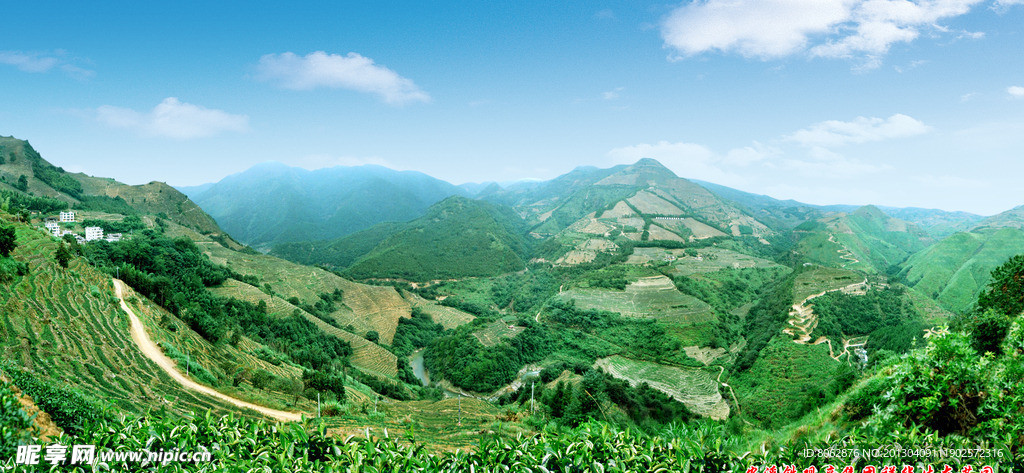 生态茶园