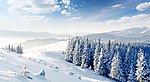 雪地