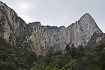 华山 金庸 树木 山水