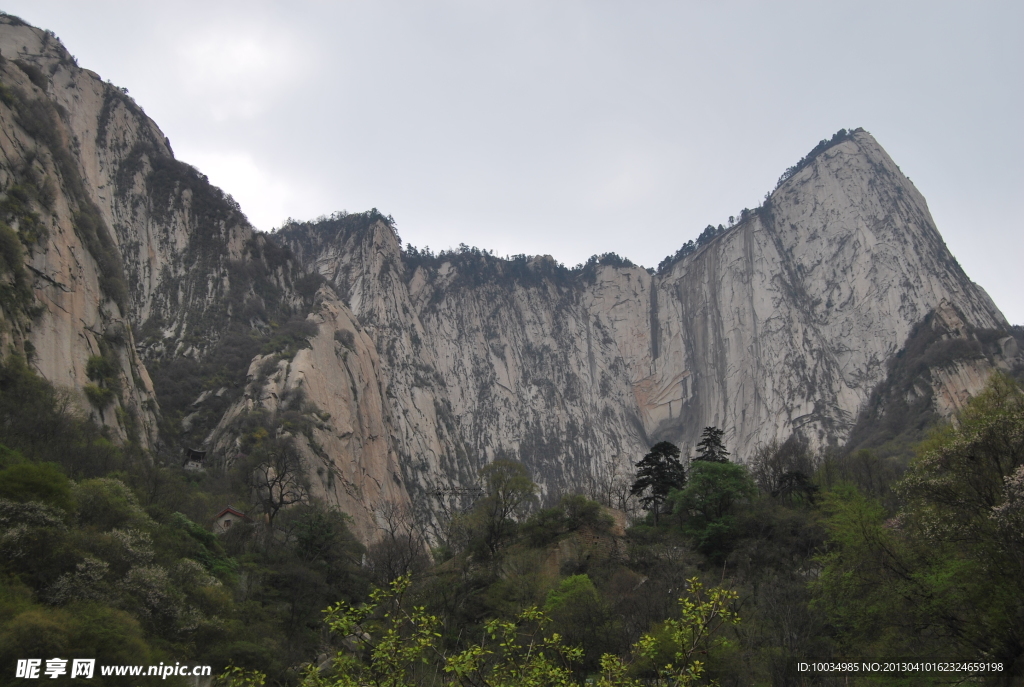 华山 金庸 树木 山水