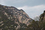 华山 树木 山水