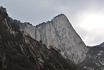 华山 树木 山水