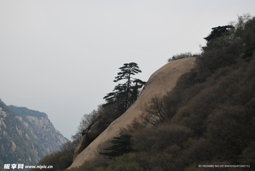华山 树木 山水