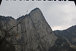 华山 树木 山水