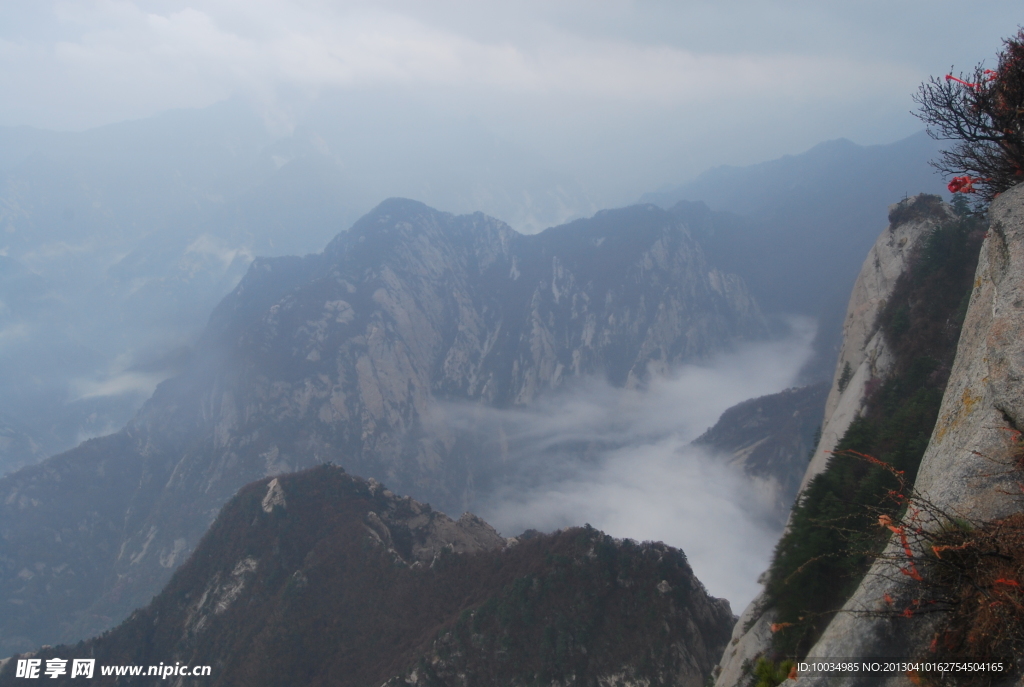 华山 树木 山水