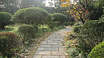 青青小路