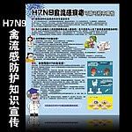 H7N9禽流感知识