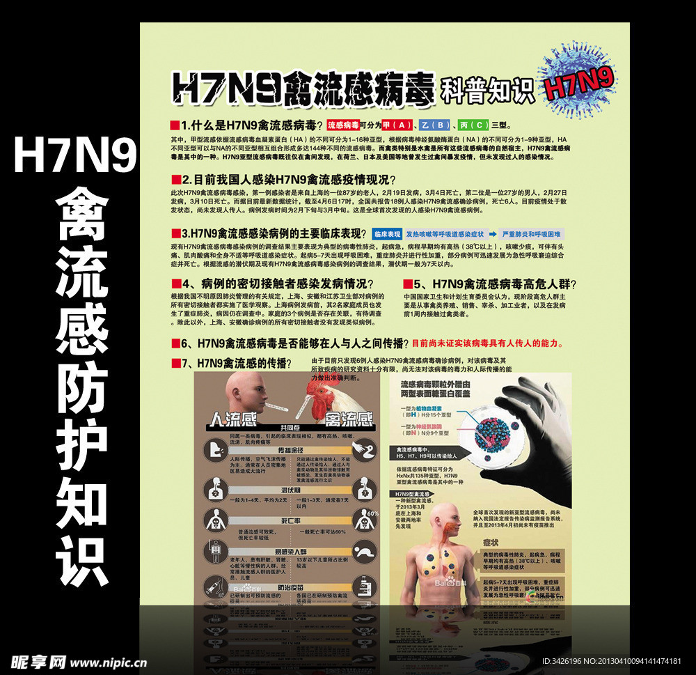 H7N9禽流感知识