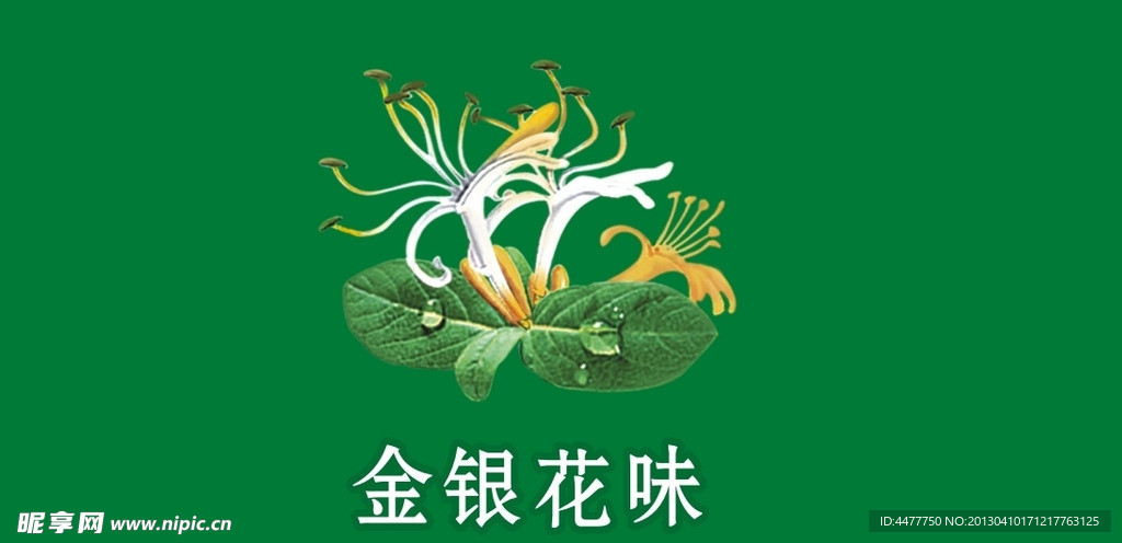 金银花