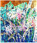 文殊兰水彩画