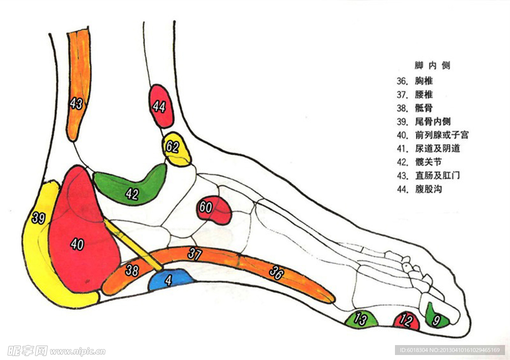 足疗穴位