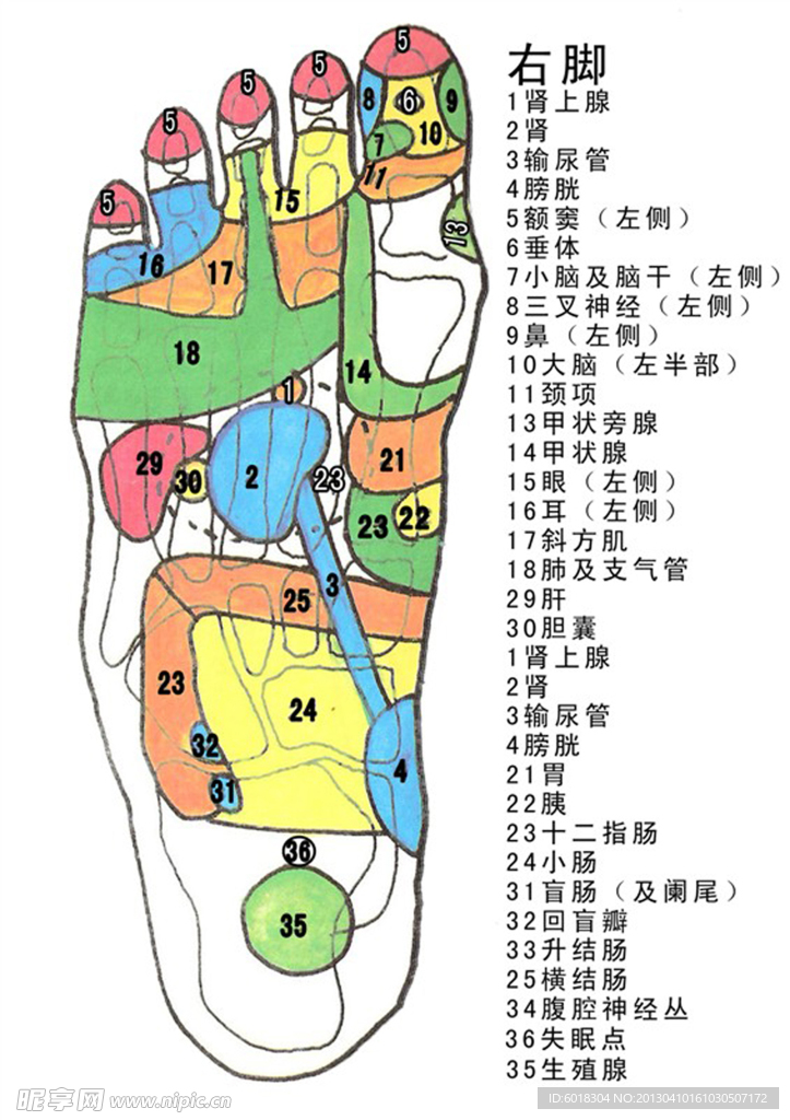 足疗穴位