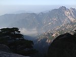 迎客松