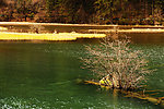 九寨沟风景 湖水