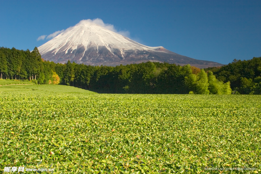 富士山