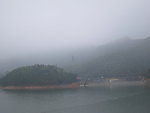 云雾中的茶园