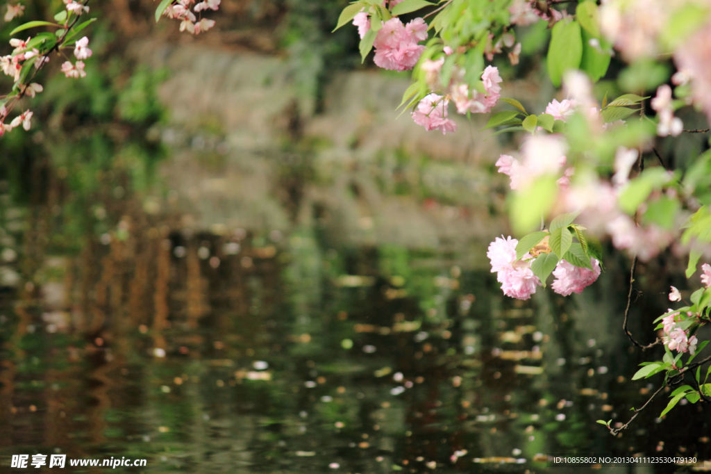 流水落花