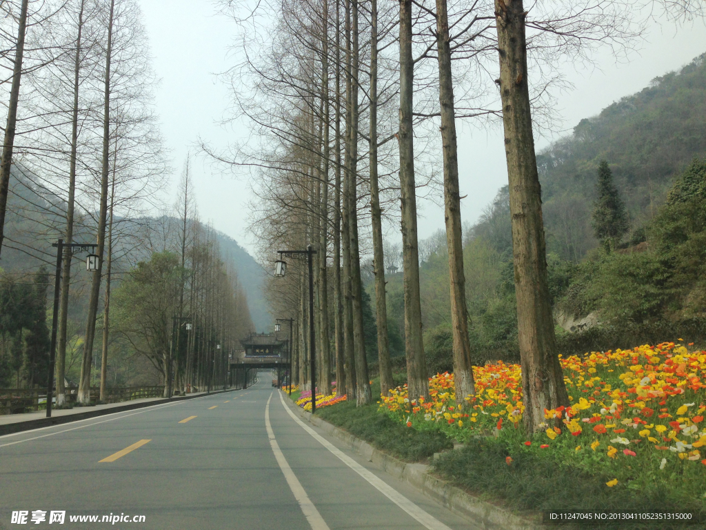 青城山路