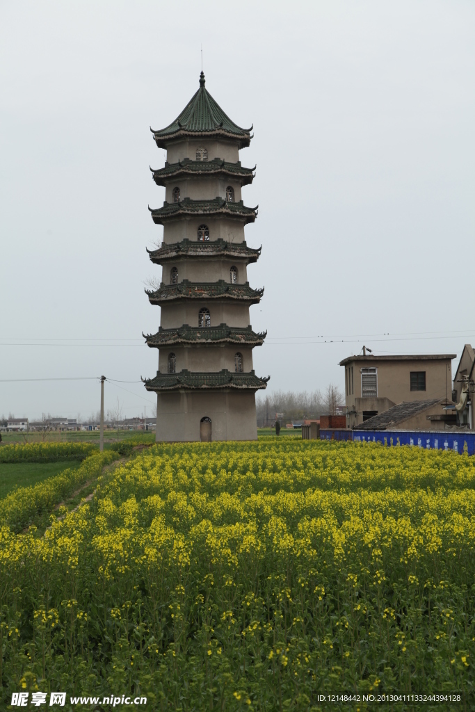 龙冈