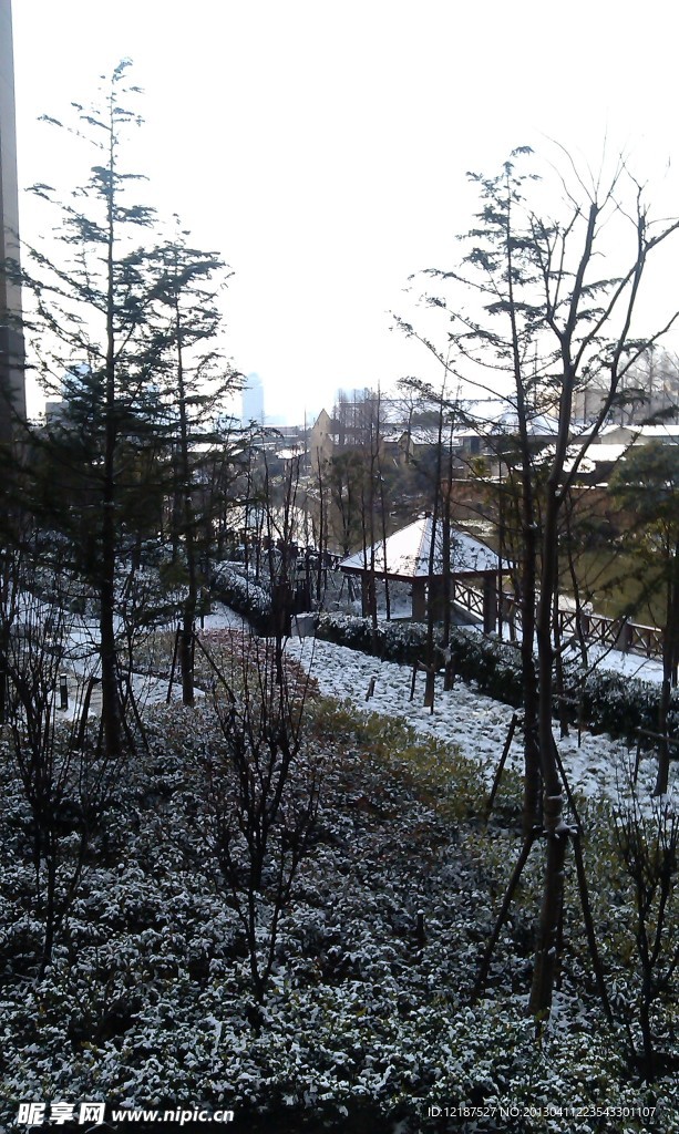 雪景