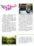 春天桃花源