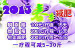 2013春季减肥海报
