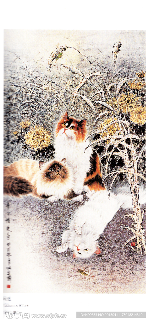 画猫