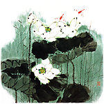 荷花国画