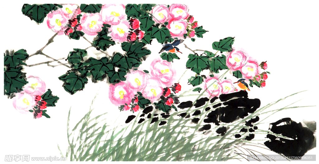 芙蓉