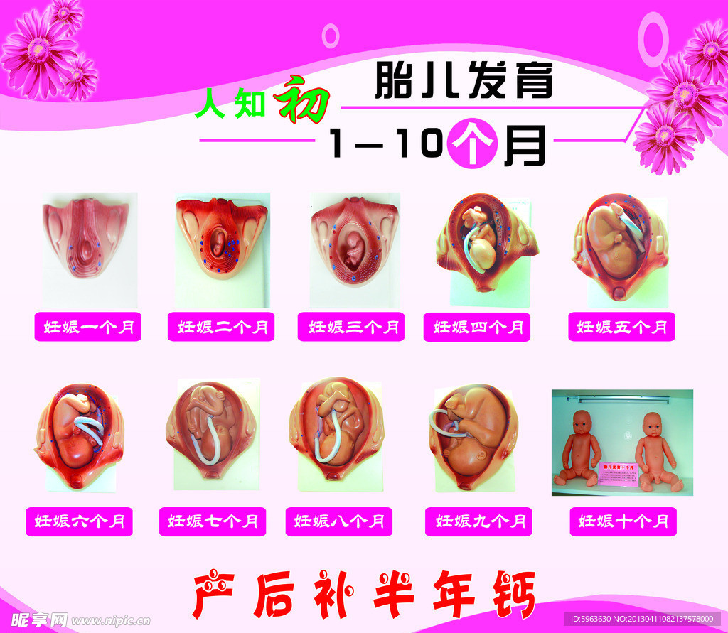 婴儿1 10个月发育