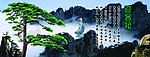 黄山迎客松
