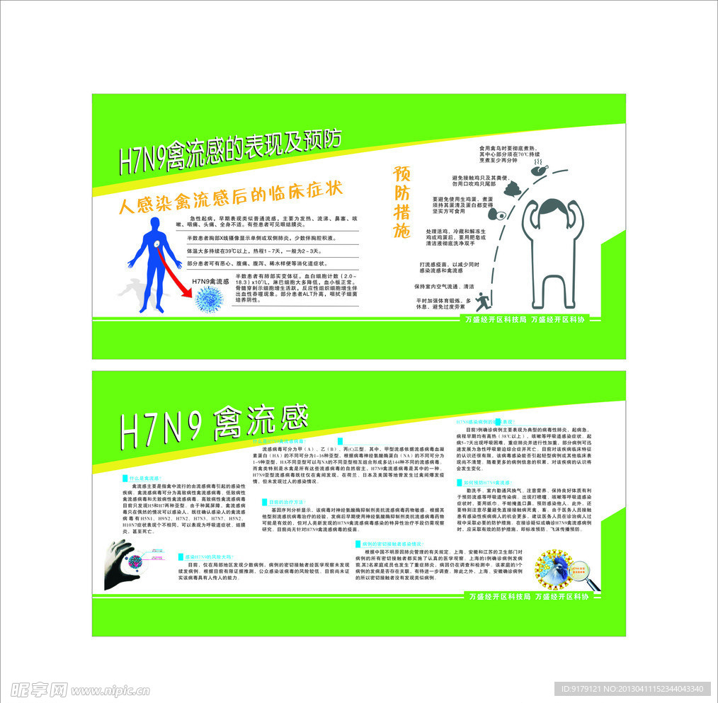 H7N9禽流感宣传栏