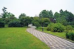 公园小道