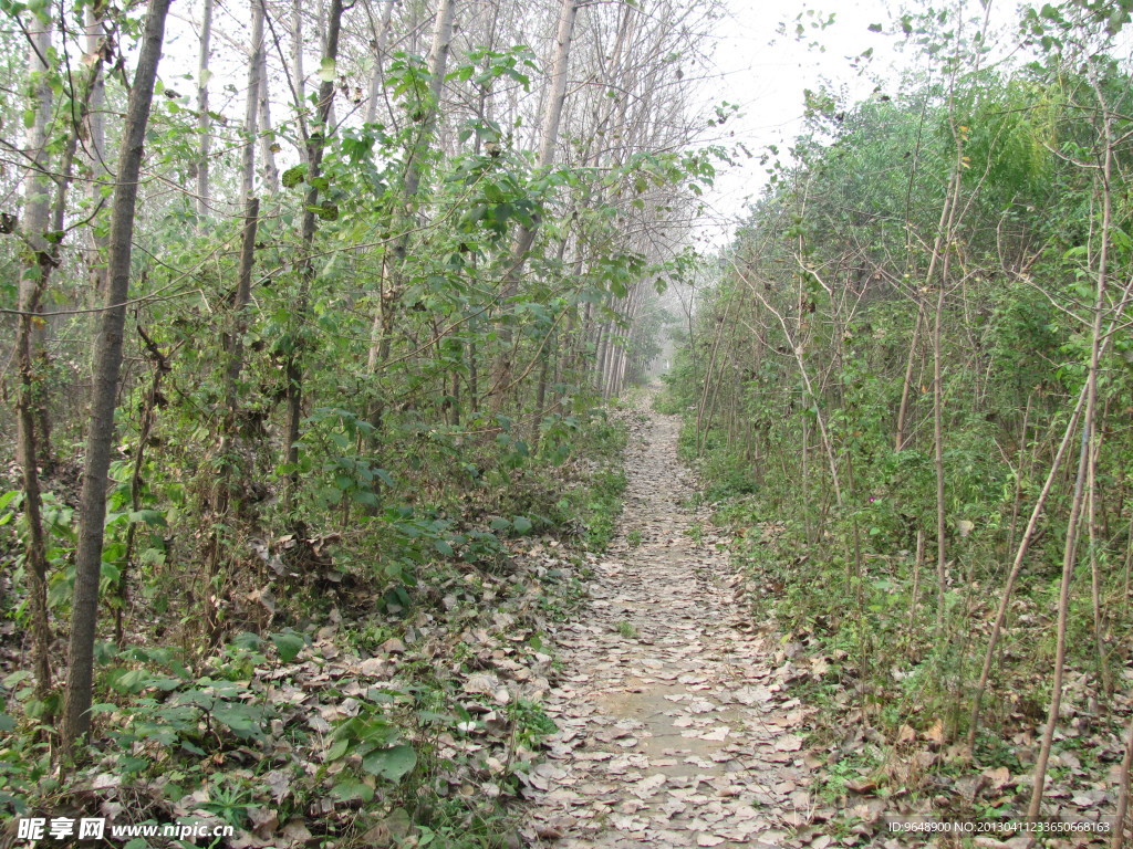 小路