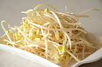 豆芽