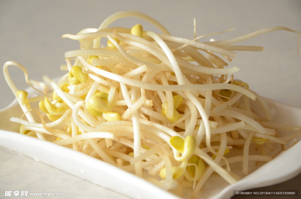 豆芽