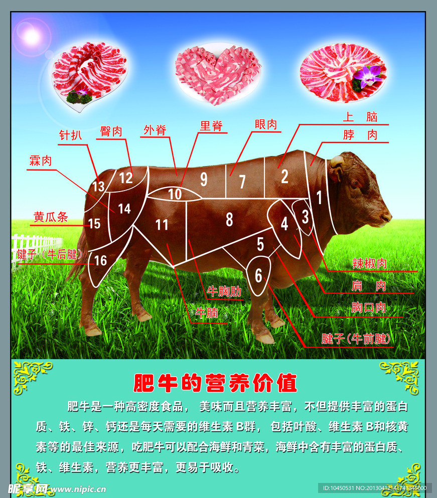 牛肉分布图