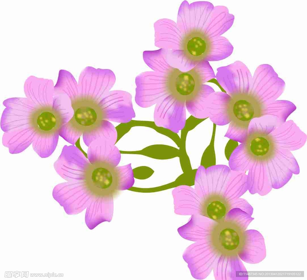 丁香花矢量图
