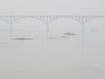赣江风景