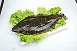 鱼 生菜