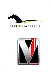 赛车logo
