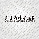 武进电视台书法文字