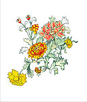 花纹