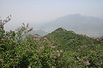 五指山