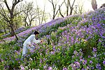 山花烂漫